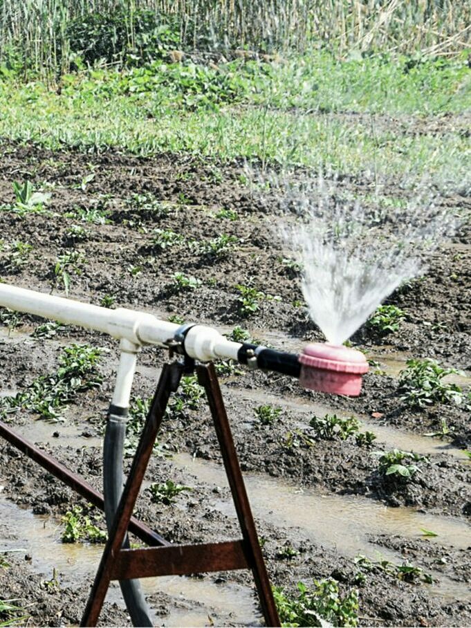 Le Migliori Recensioni Di Pompe Per Irrigatori. Guida All'acquisto Completa