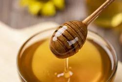 Miele di Manuka Comvita UMF 15 Il miglior miele di Manuka della Nuova Zelanda